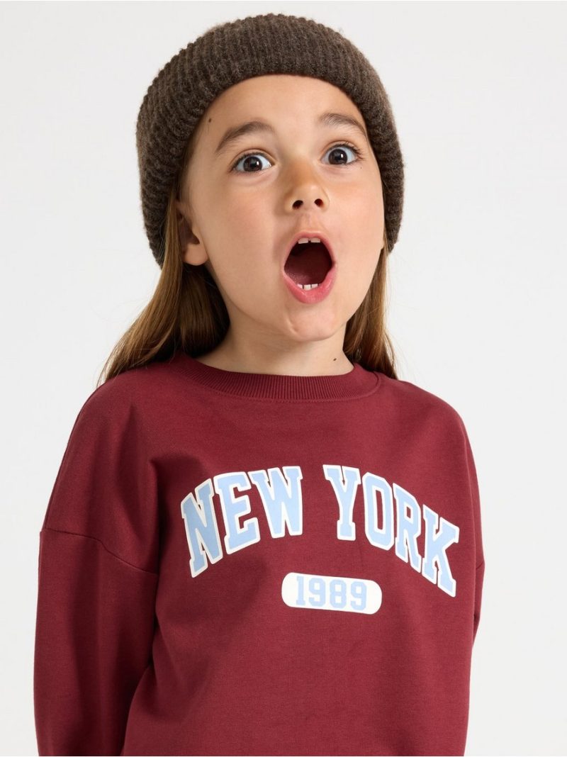 Sweatshirt with brushed inside - 3012401-7936