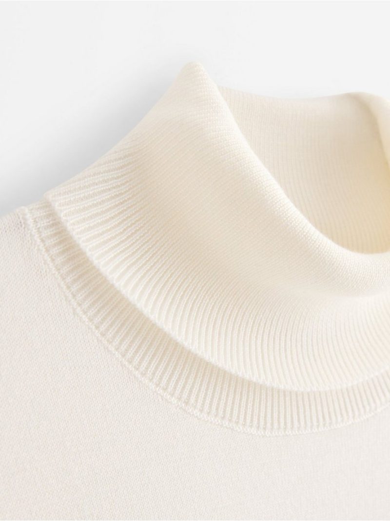Fine-knit jumper with roll neck - 3012351-300