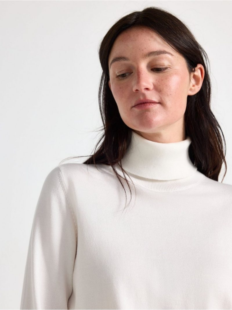 Fine-knit jumper with roll neck - 3012351-300