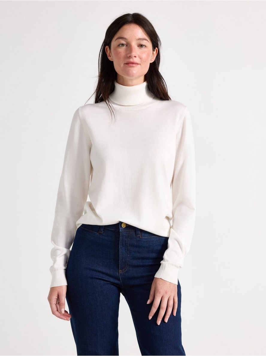 Fine-knit jumper with roll neck - 3012351-300