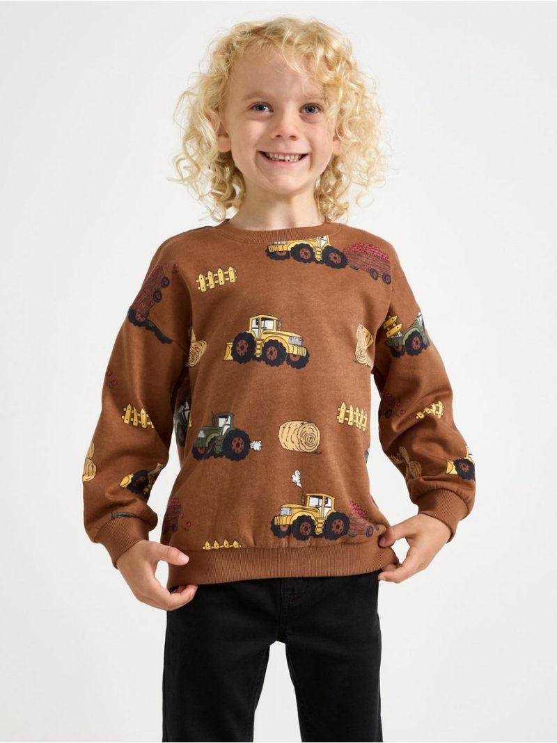 Sweatshirt with brushed inside - 3012397-2735