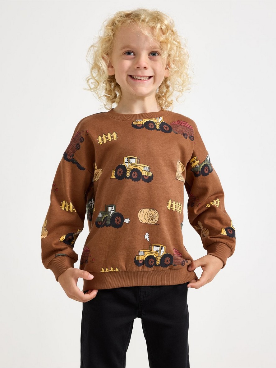 Sweatshirt with brushed inside - 3012397-2735