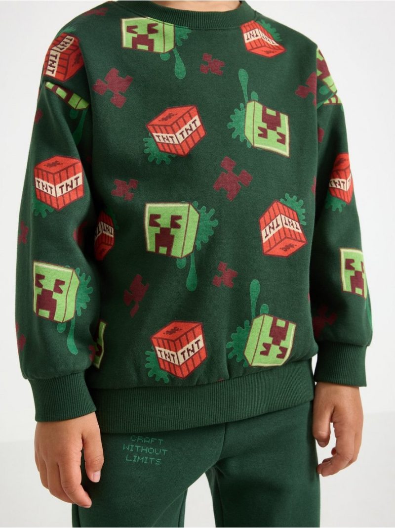 Minecraft sweatshirt with brushed inside - 3012502-8599