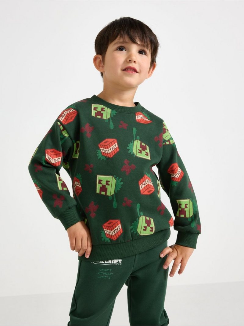 Minecraft sweatshirt with brushed inside - 3012502-8599
