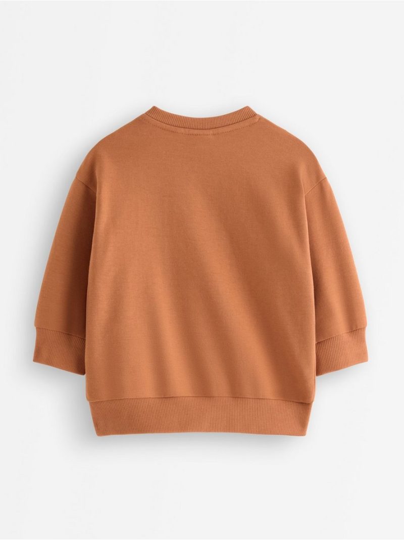 Sweatshirt with brushed inside - 3012737-1264