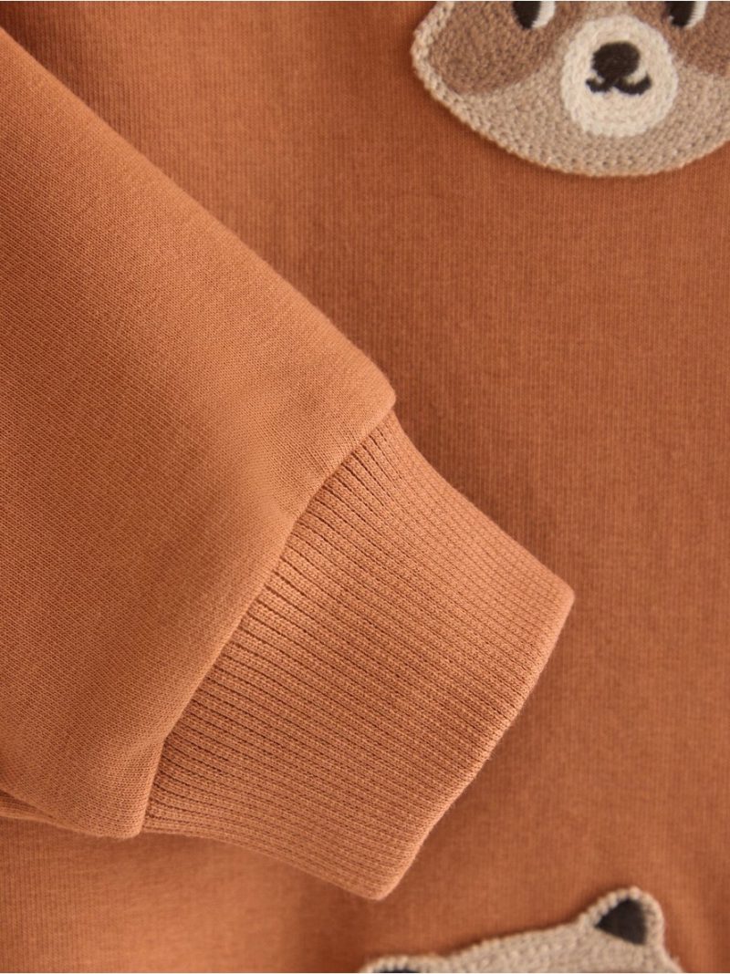 Sweatshirt with brushed inside - 3012737-1264