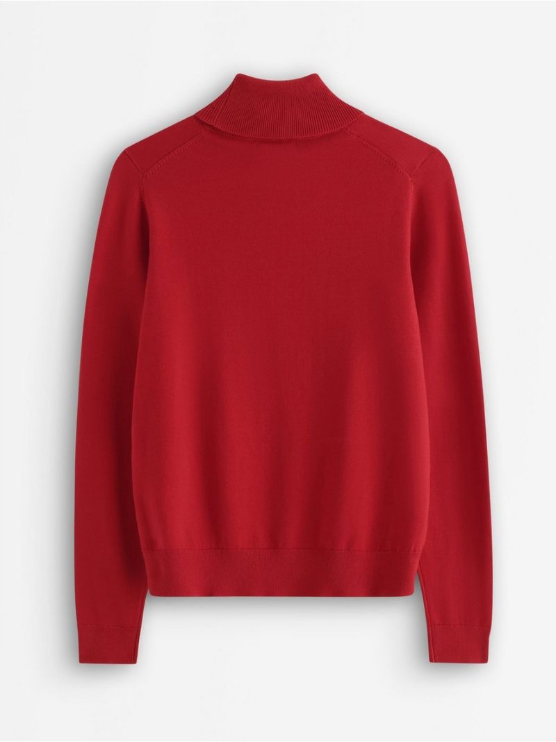 Fine-knit jumper with roll neck - 3012351-7251