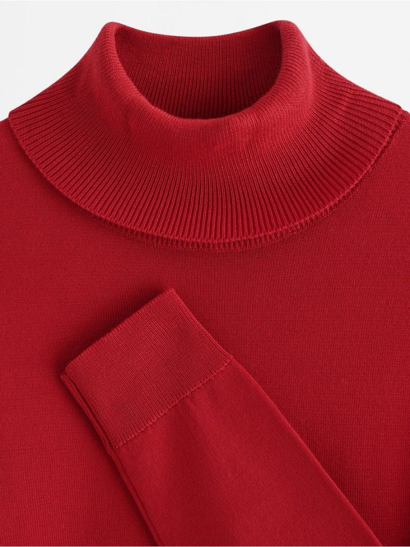 Fine-knit jumper with roll neck - 3012351-7251