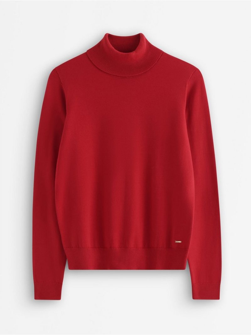 Fine-knit jumper with roll neck - 3012351-7251