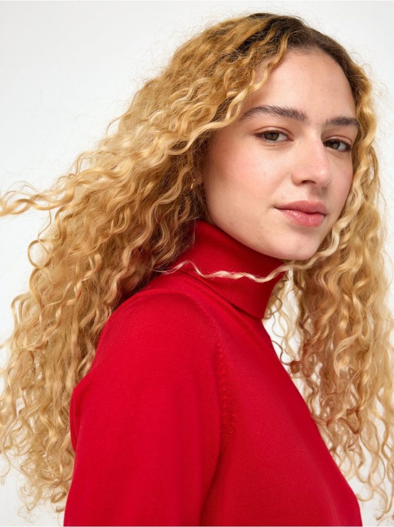 Fine-knit jumper with roll neck - 3012351-7251