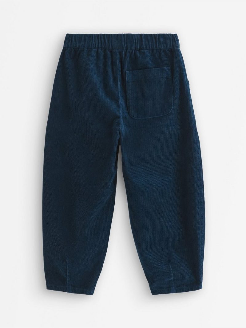 Loose fit trousers in corduroy - 3011637-6842